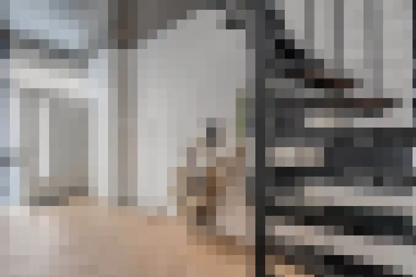 Van Helomalaan 2 Wolvega thumbnail 30