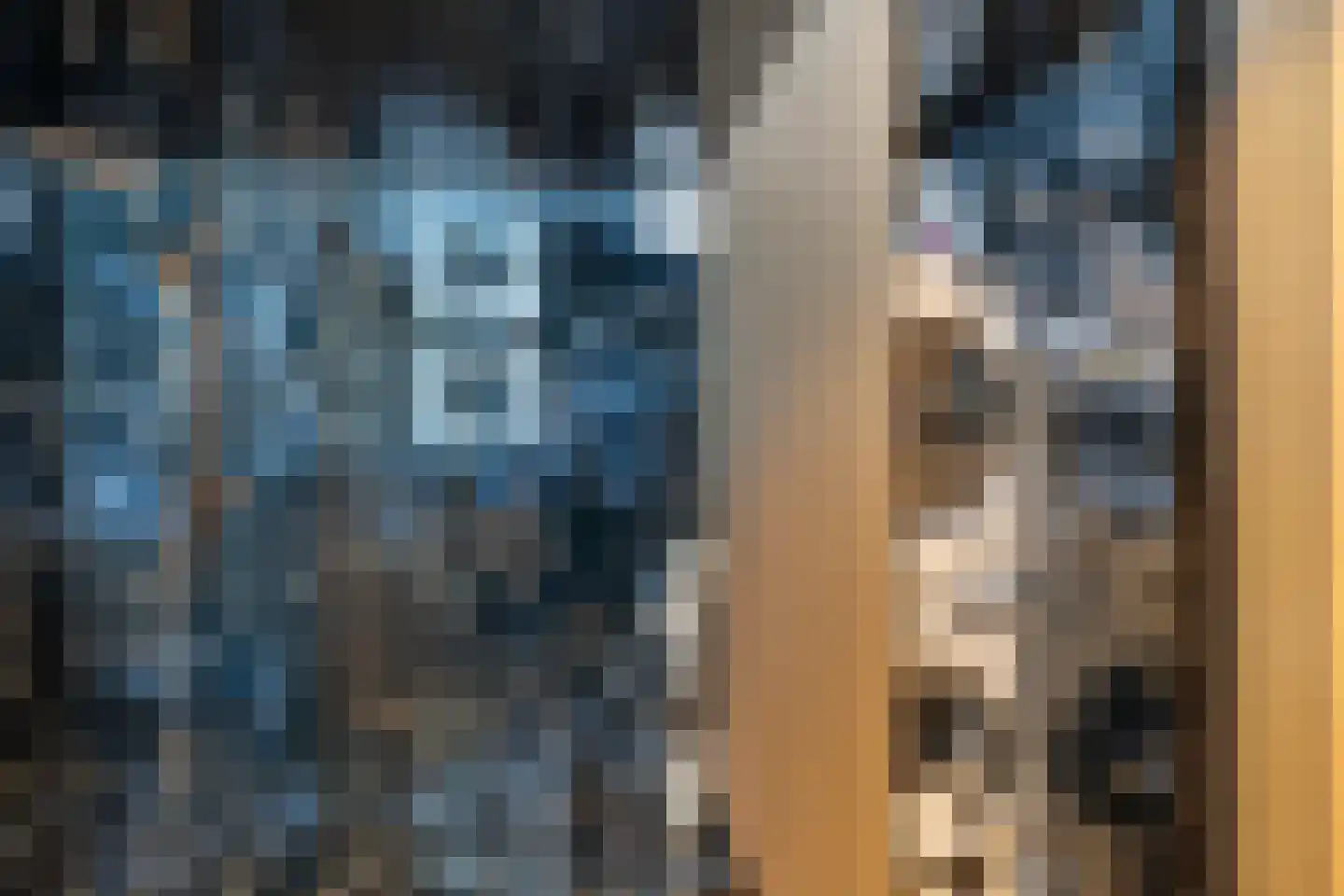 Van Helomalaan 2 Wolvega thumbnail 40