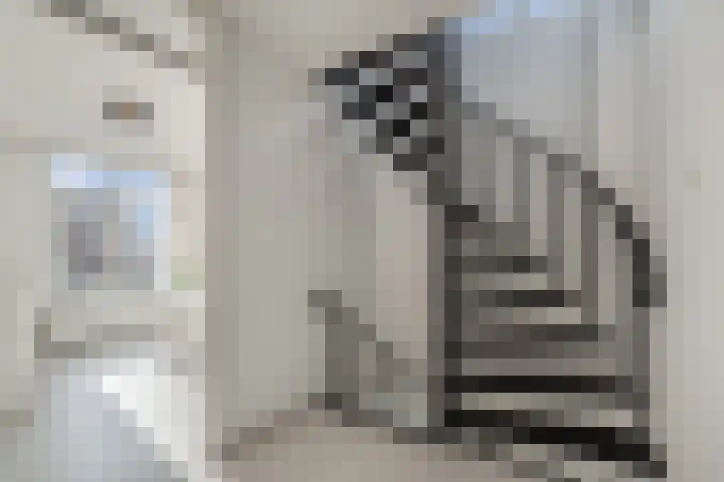 Van Helomalaan 2 Wolvega thumbnail 44