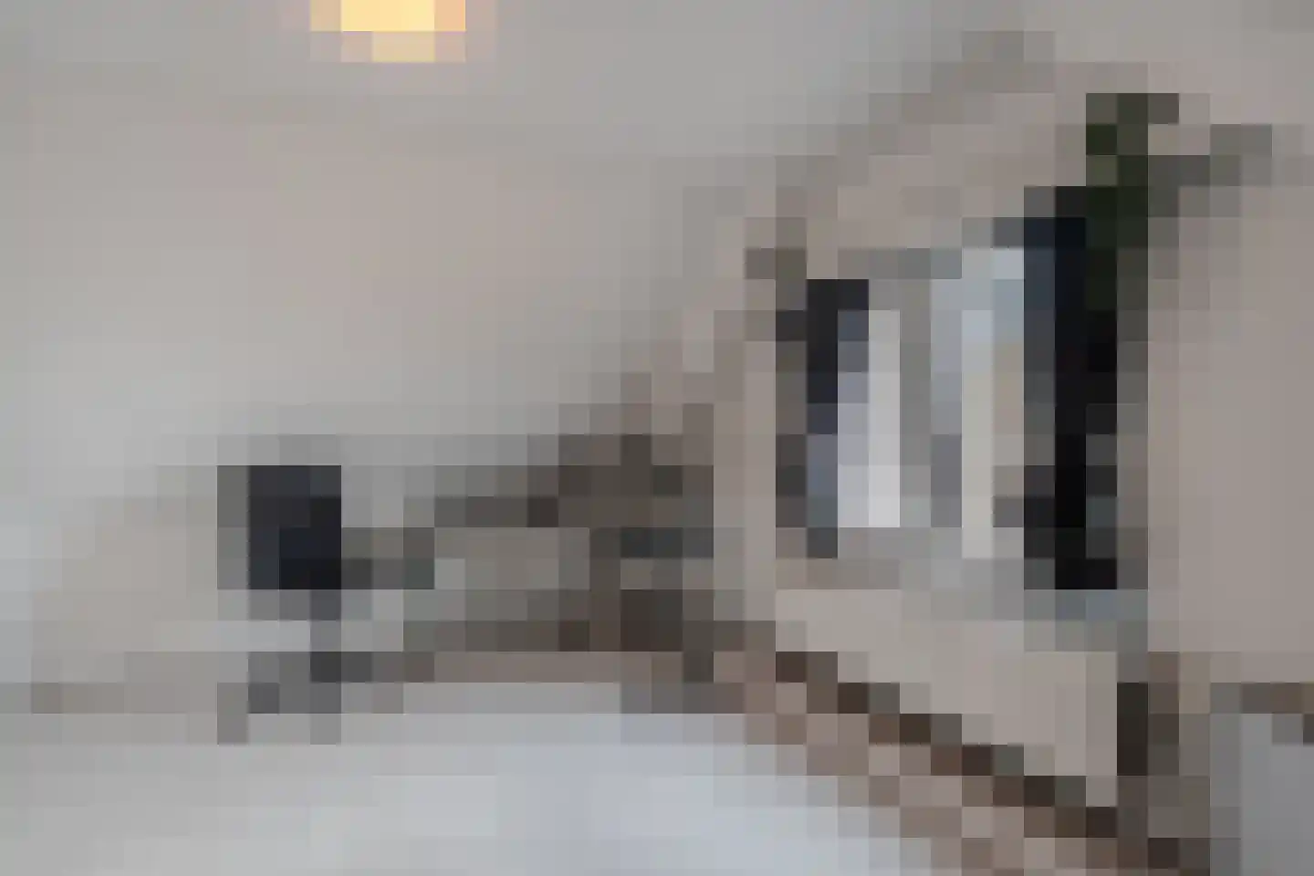 Van Helomalaan 2 Wolvega thumbnail 48