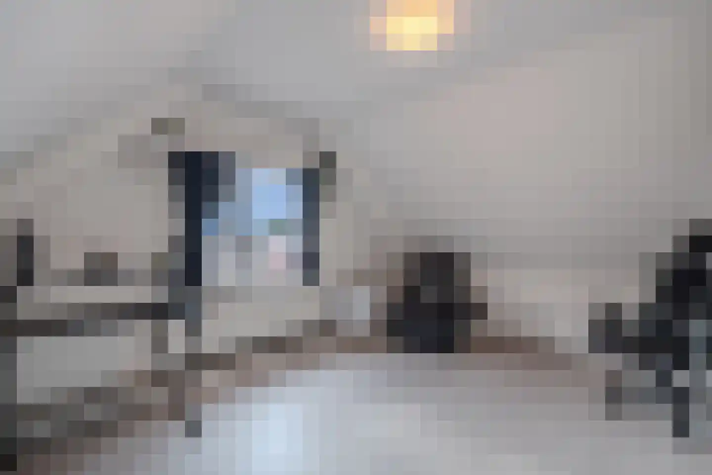 Van Helomalaan 2 Wolvega thumbnail 49