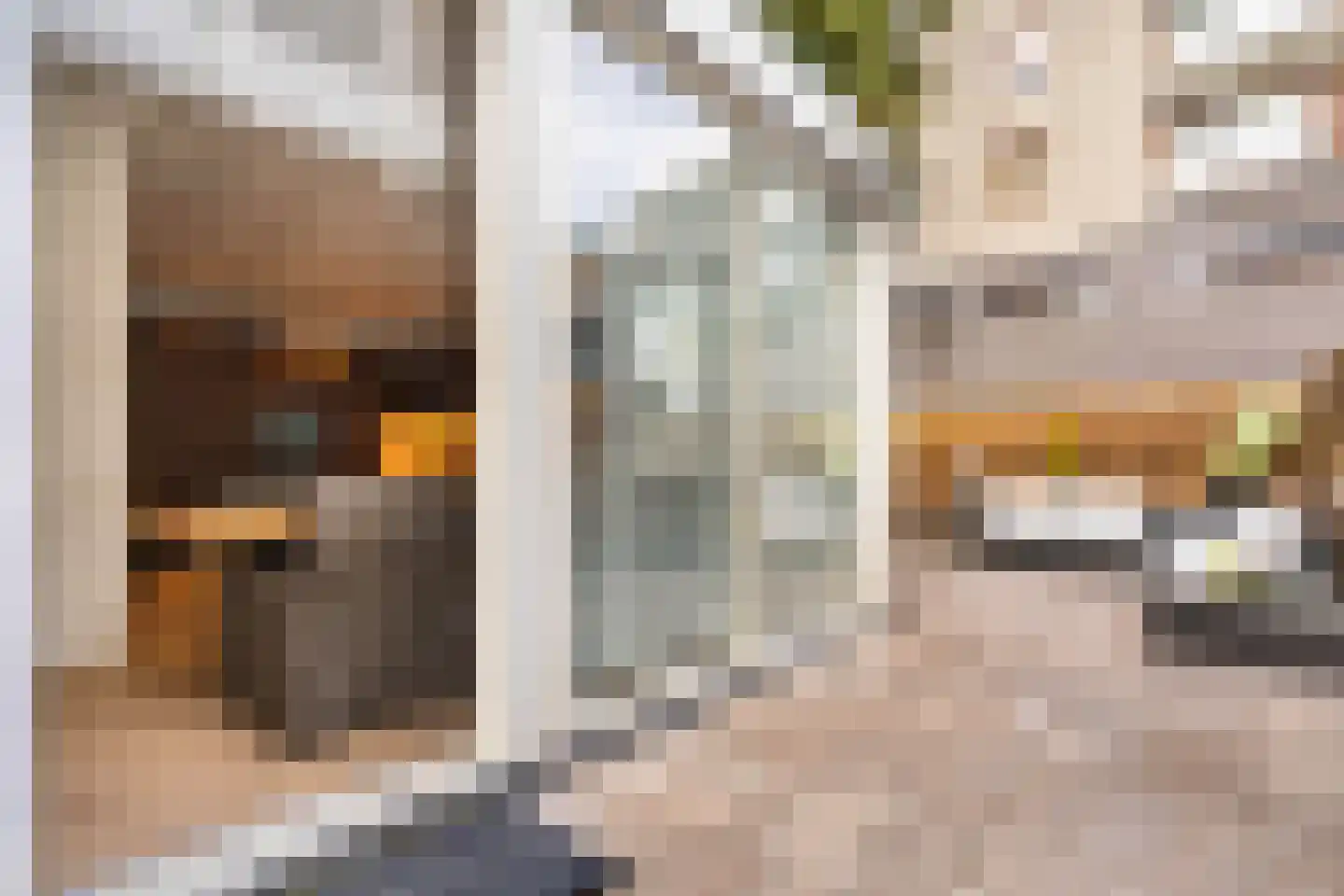 Van Helomalaan 2 Wolvega thumbnail 50