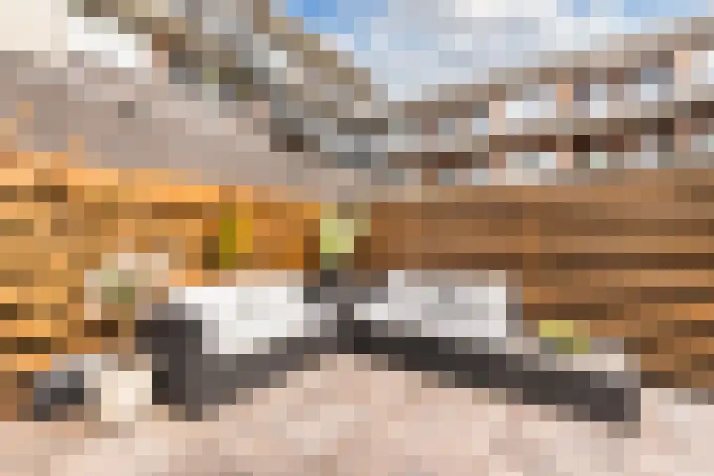 Van Helomalaan 2 Wolvega thumbnail 51
