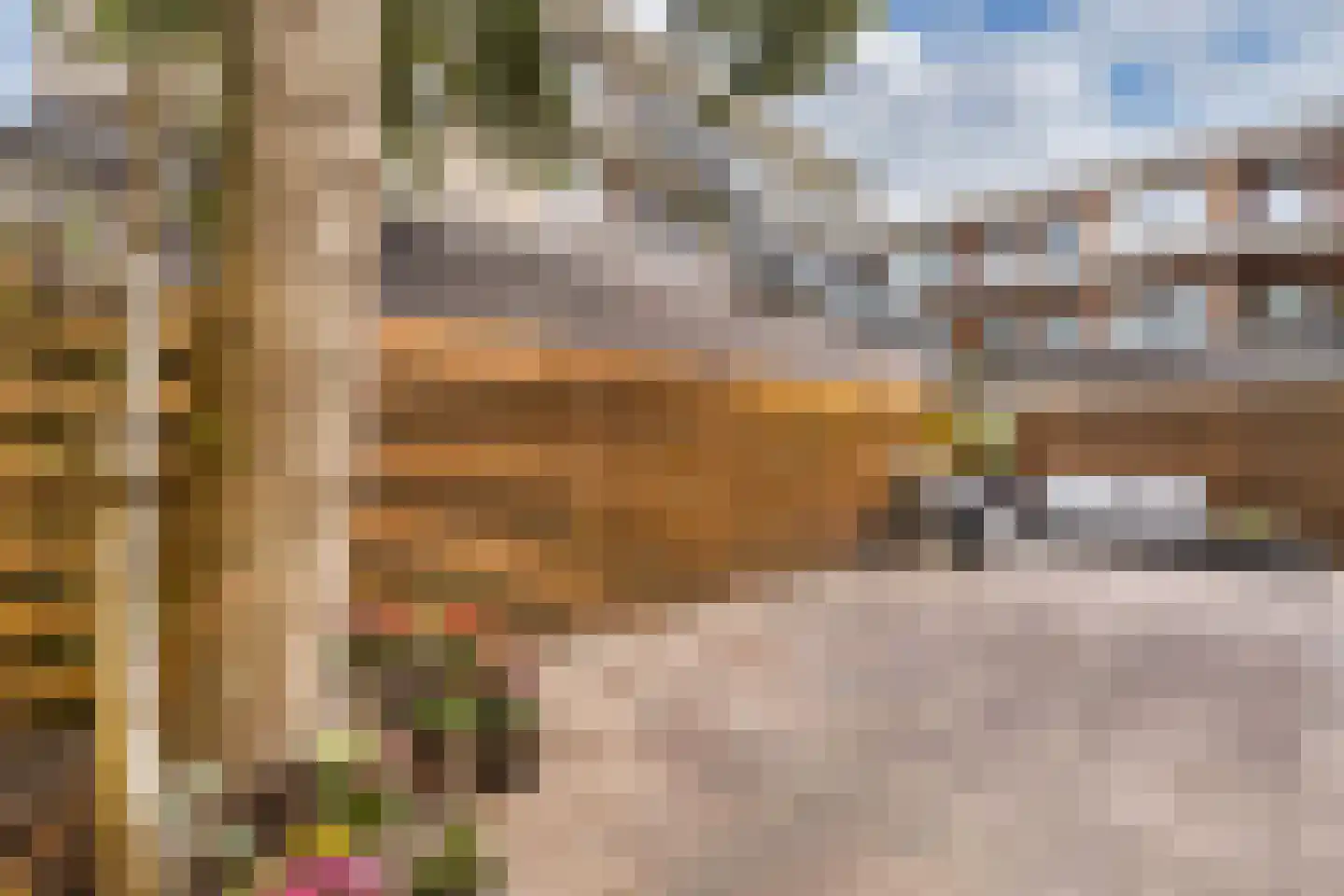 Van Helomalaan 2 Wolvega thumbnail 52