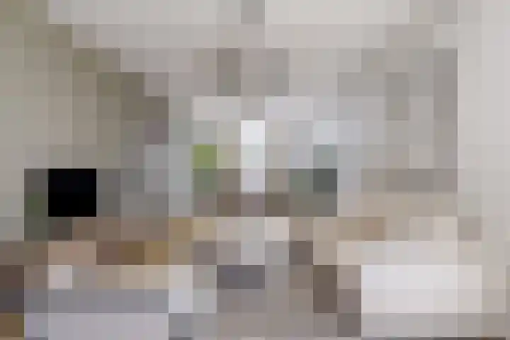 Van Helomalaan 8 Wolvega thumbnail 11