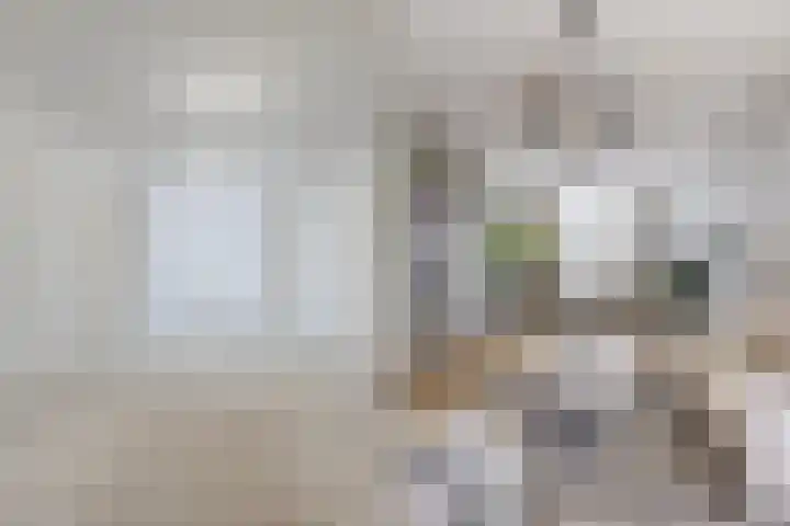 Van Helomalaan 8 Wolvega thumbnail 13