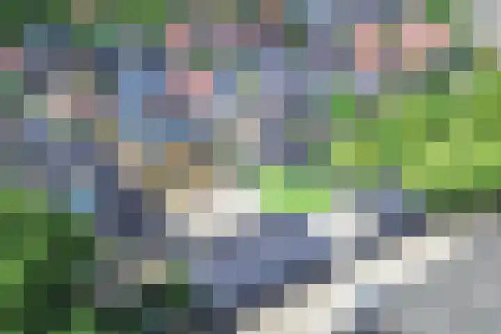 Van Helomalaan 8 Wolvega thumbnail 4