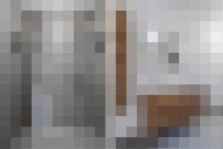 Van Helomalaan 8 Wolvega thumbnail 45