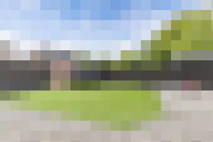 Van Helomalaan 8 Wolvega thumbnail 57