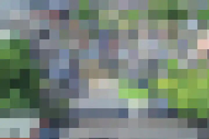 Van Helomalaan 8 Wolvega thumbnail 66