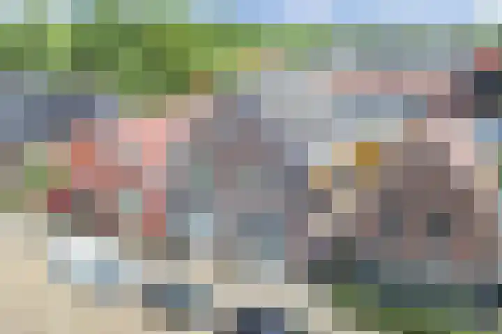 Van Helomalaan 8 Wolvega thumbnail 85