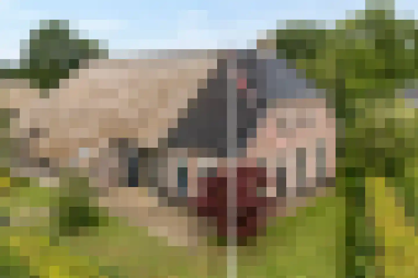 van Helomaweg 17 in Havelte