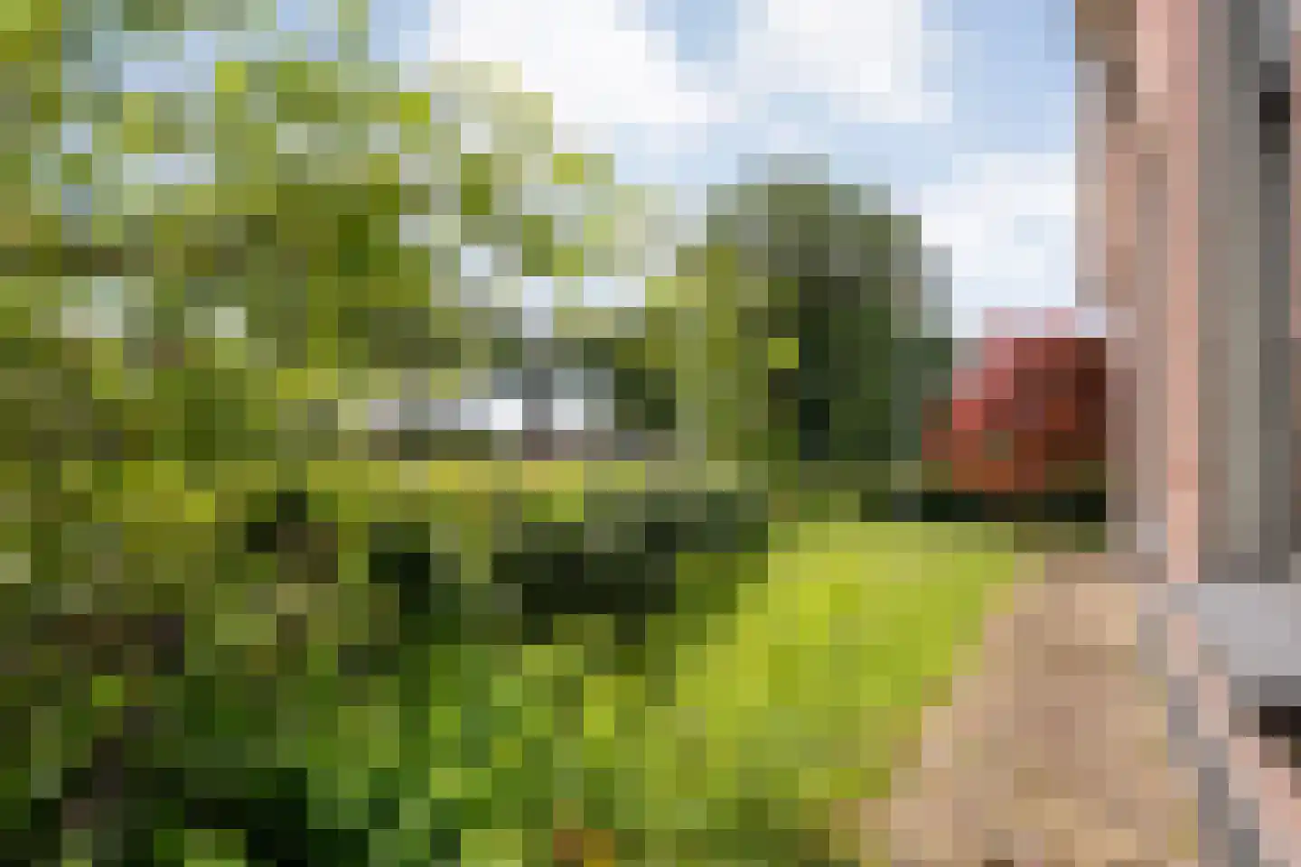 van Helomaweg 17 Havelte thumbnail 10
