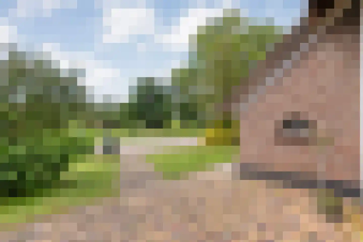 van Helomaweg 17 Havelte thumbnail 11
