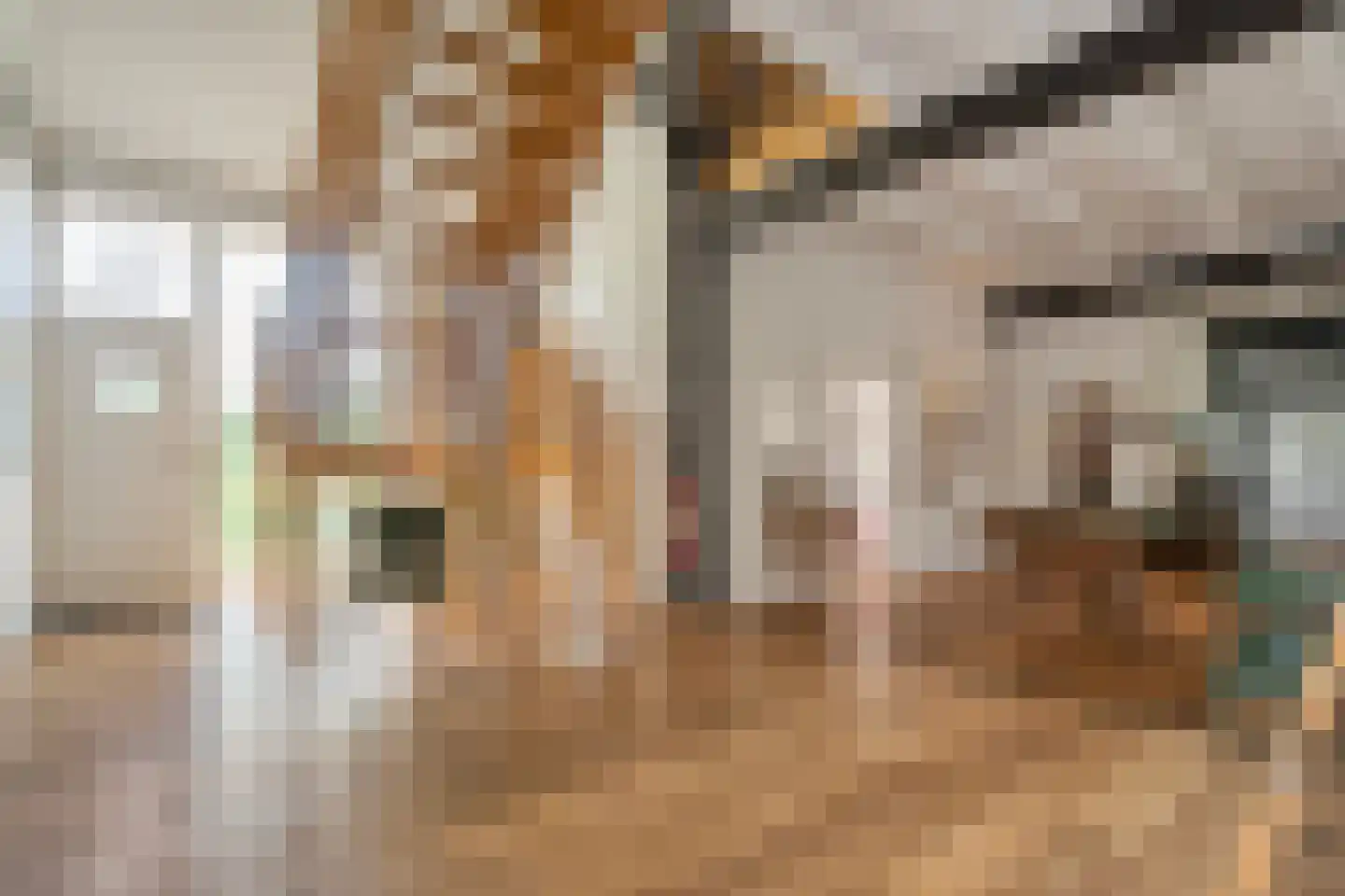 van Helomaweg 17 Havelte thumbnail 14