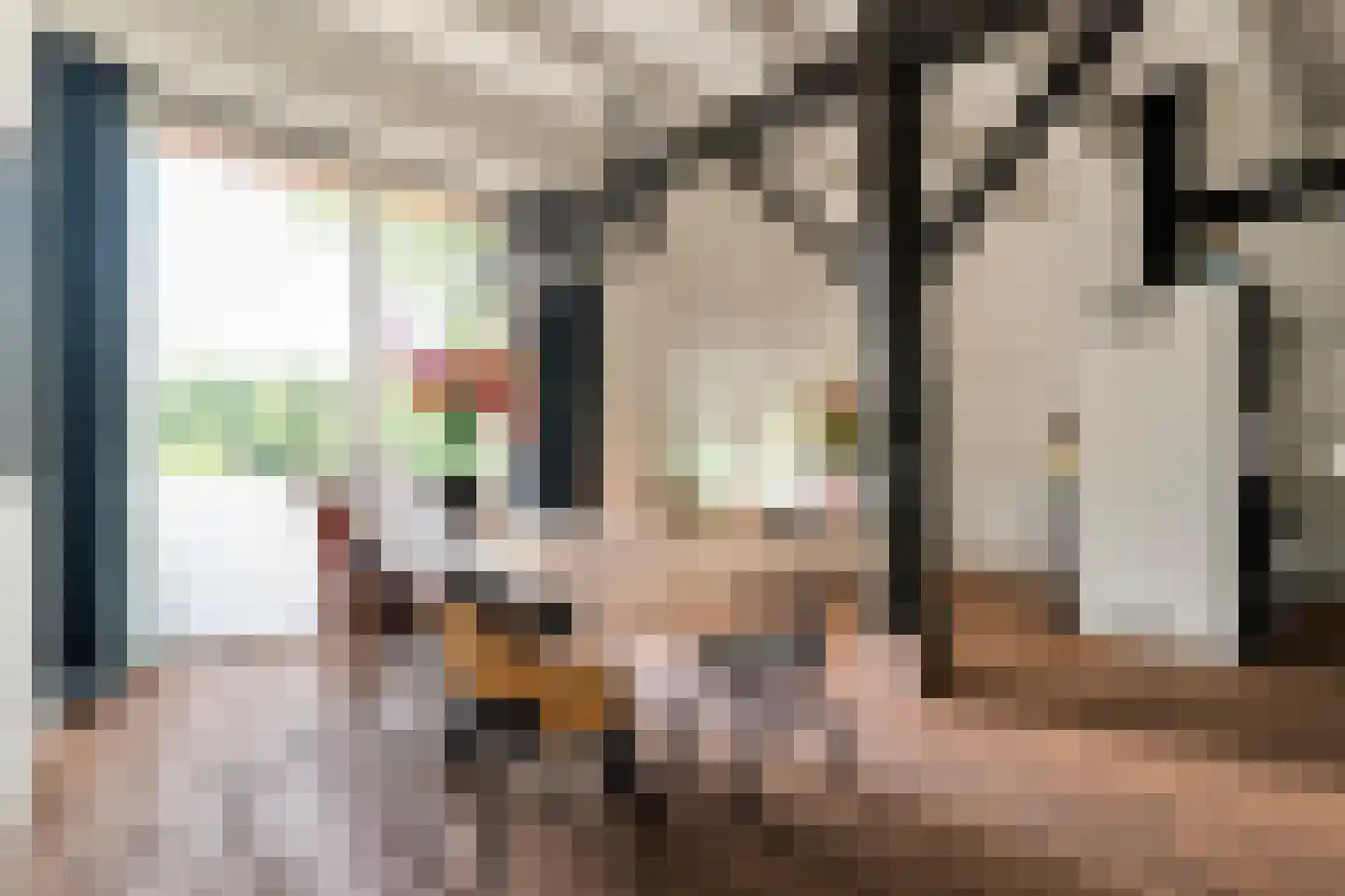 van Helomaweg 17 Havelte thumbnail 20