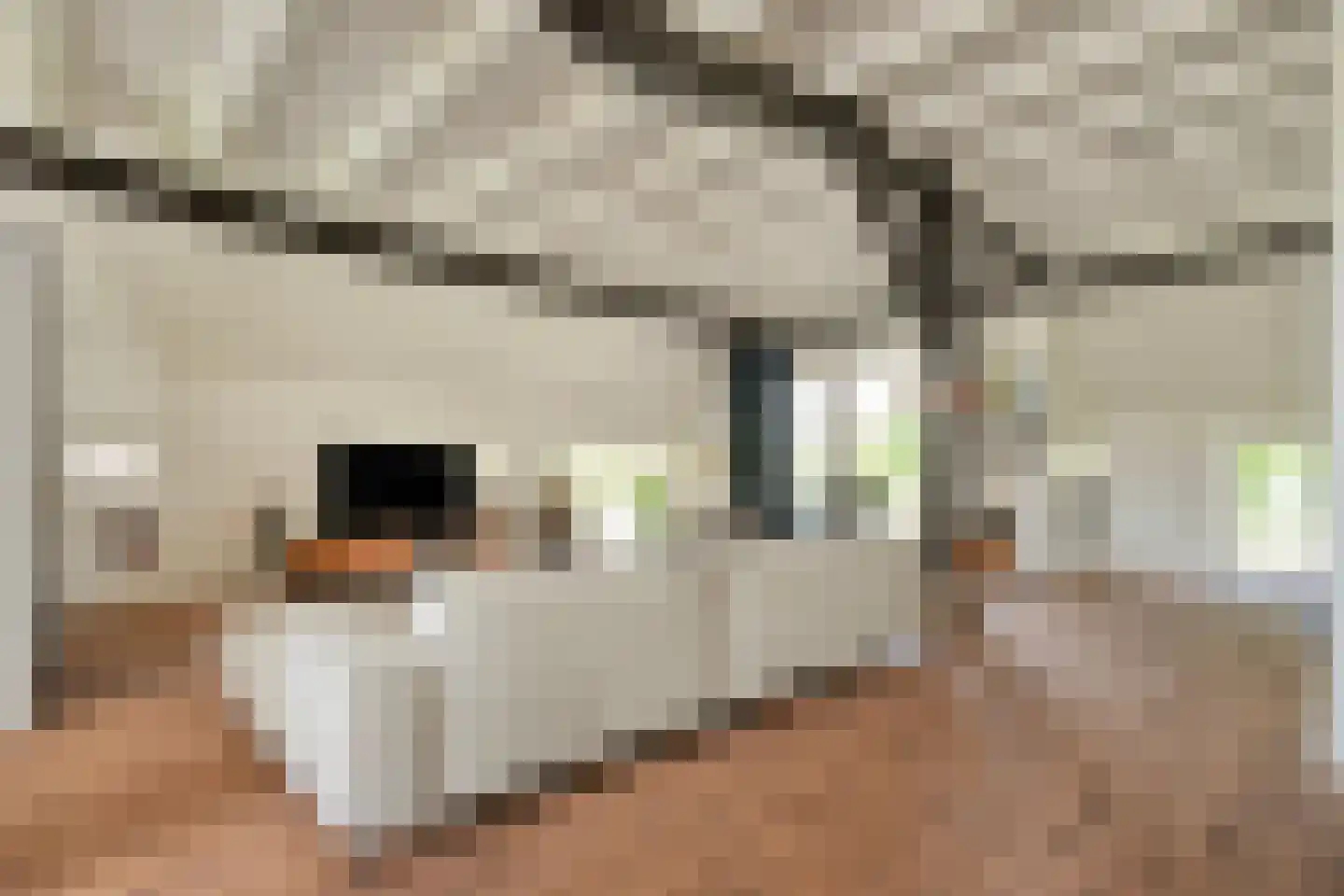van Helomaweg 17 Havelte thumbnail 23