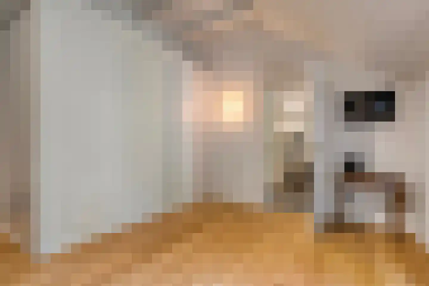van Helomaweg 17 Havelte thumbnail 40