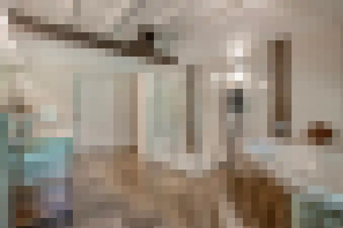 van Helomaweg 17 Havelte thumbnail 41