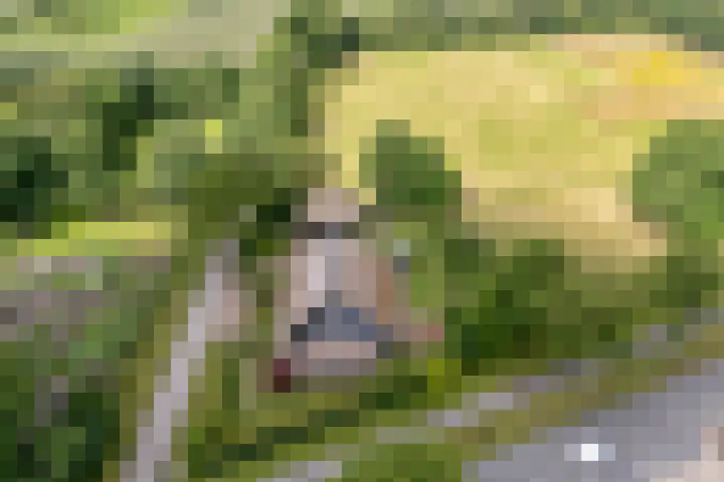 van Helomaweg 17 Havelte thumbnail 7