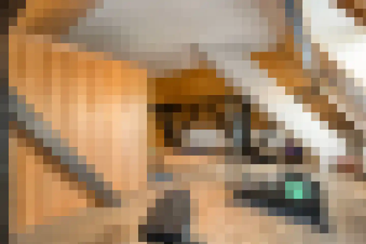van Helomaweg 17 Havelte thumbnail 70