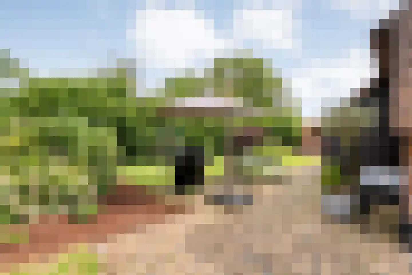 van Helomaweg 17 Havelte thumbnail 74