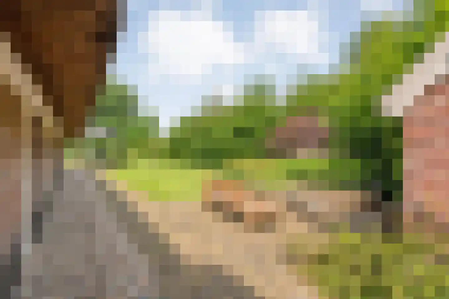 van Helomaweg 17 Havelte thumbnail 75