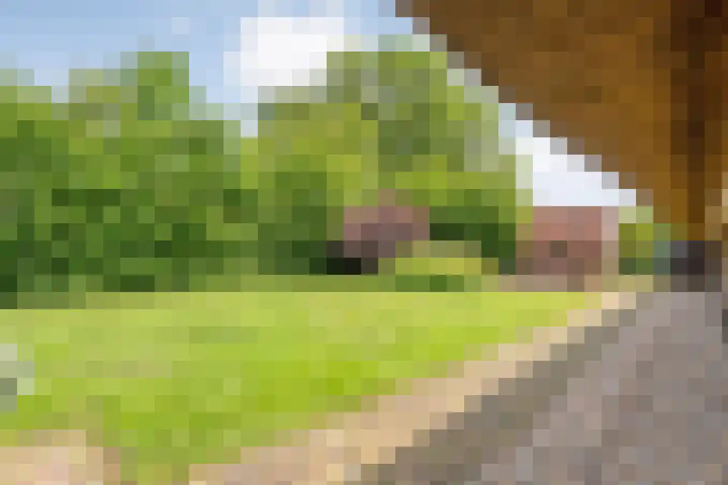 van Helomaweg 17 Havelte thumbnail 76