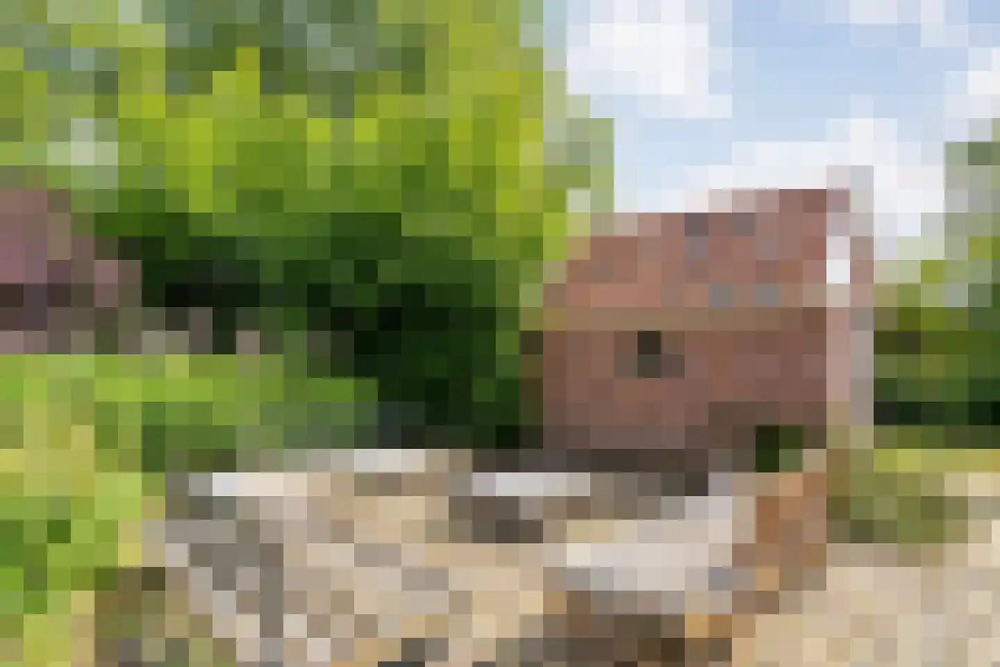 van Helomaweg 17 Havelte thumbnail 77