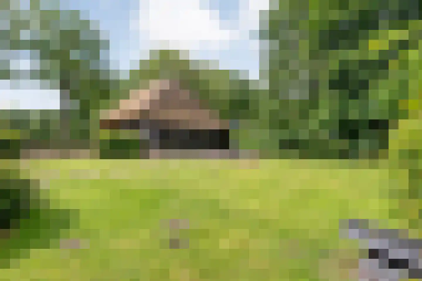 van Helomaweg 17 Havelte thumbnail 80