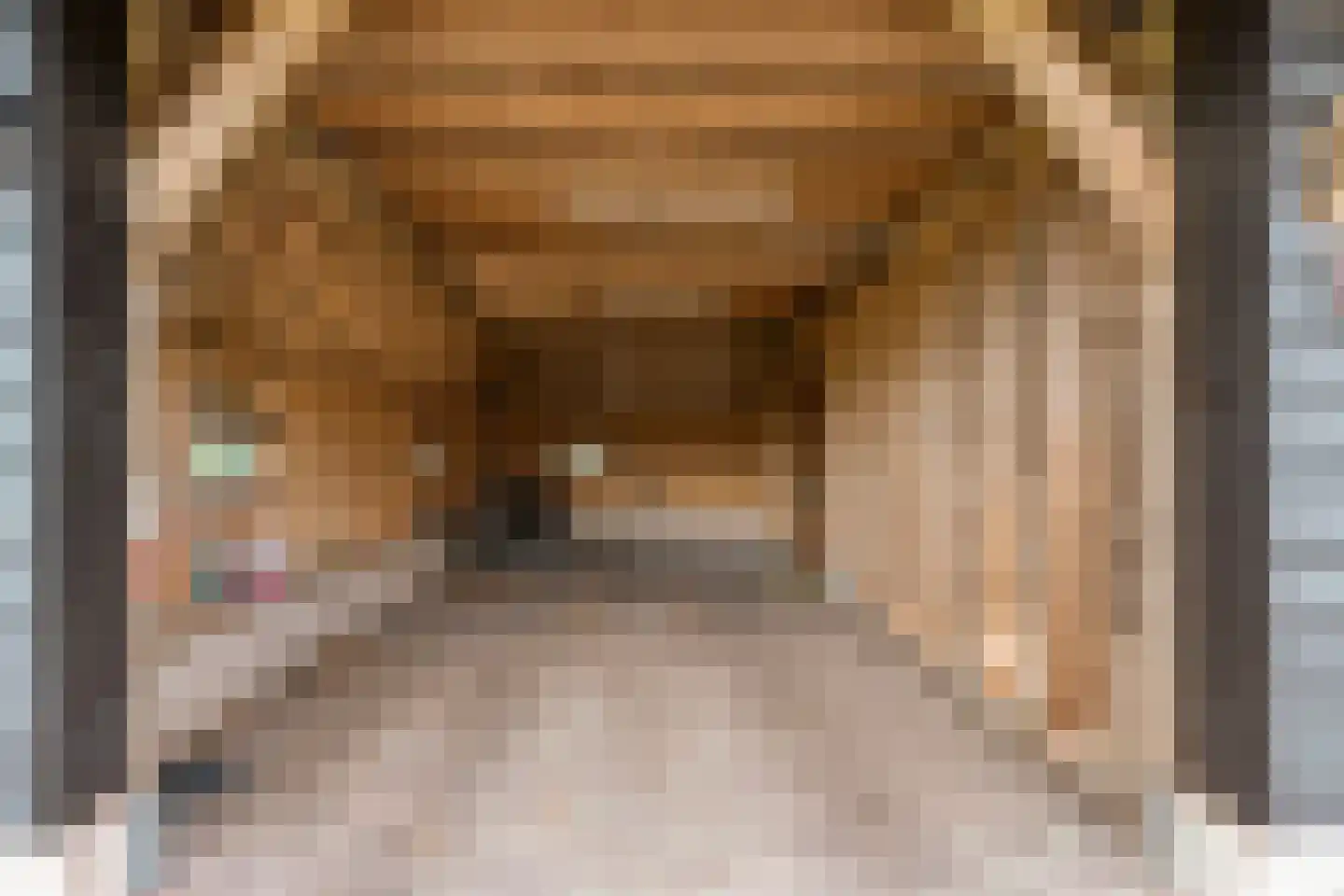van Helomaweg 17 Havelte thumbnail 83