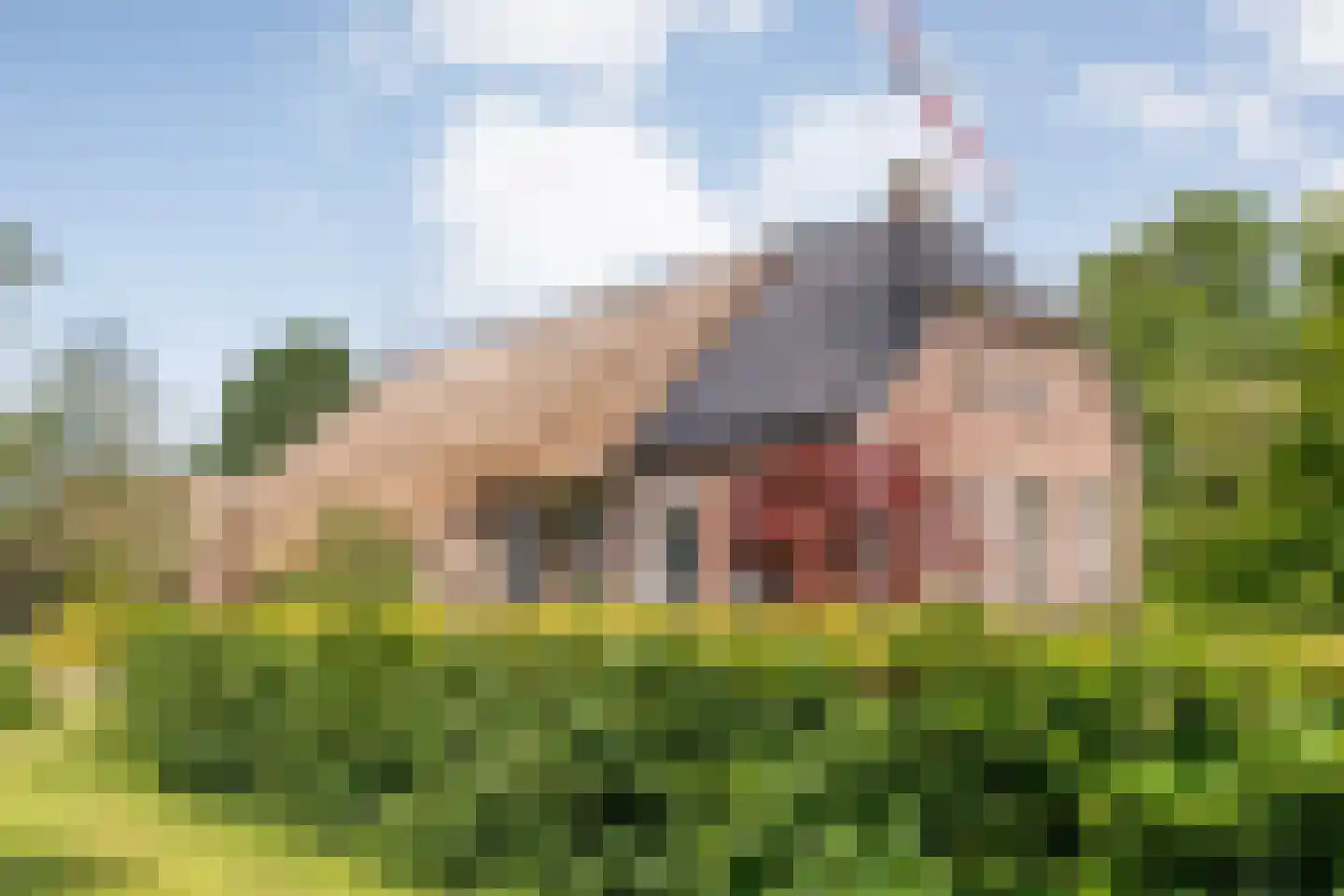 van Helomaweg 17 Havelte thumbnail 9