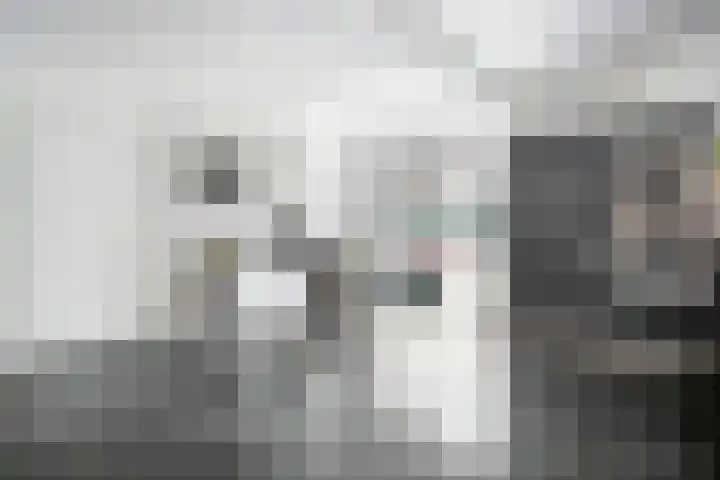 van Helomaweg 4 a Havelte thumbnail 10