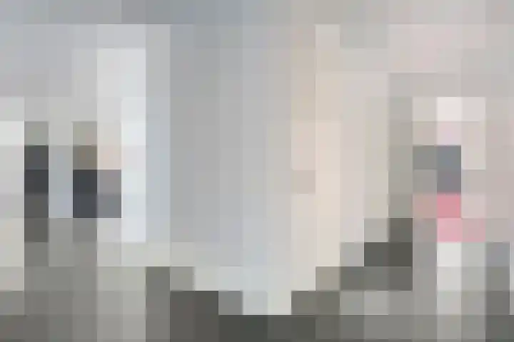 van Helomaweg 4 a Havelte thumbnail 13