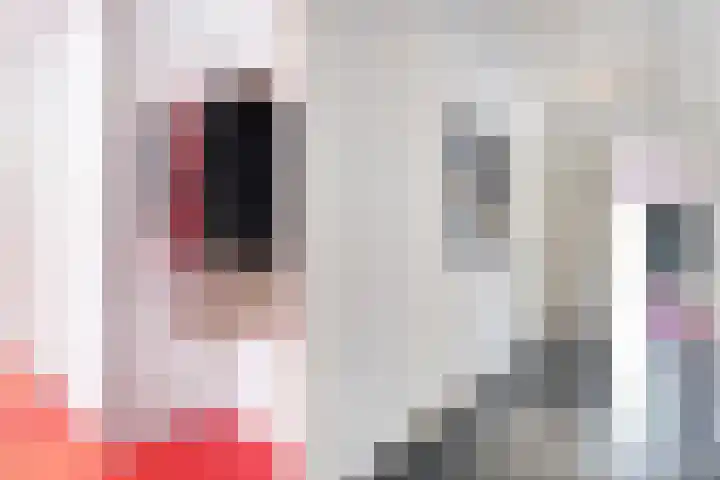 van Helomaweg 4 a Havelte thumbnail 14