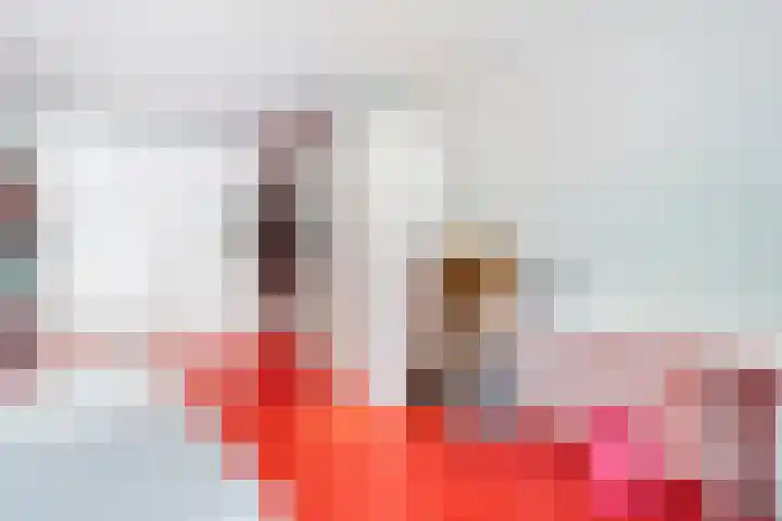 van Helomaweg 4 a Havelte thumbnail 16