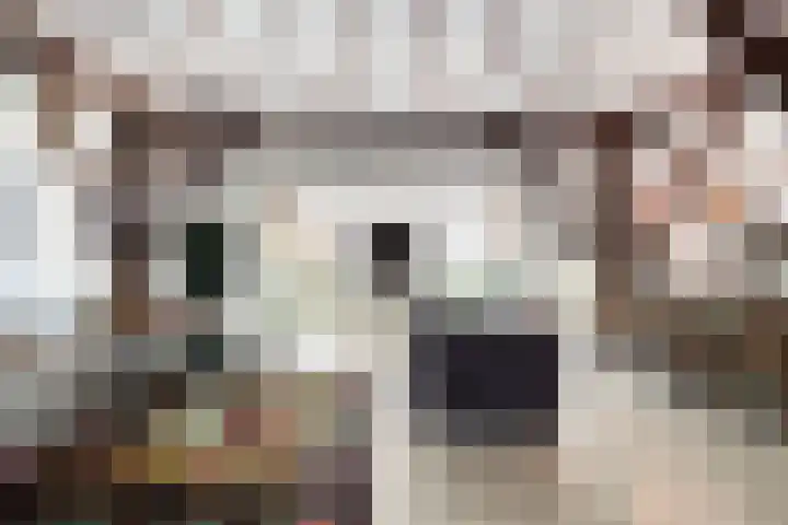 van Helomaweg 4 a Havelte thumbnail 30