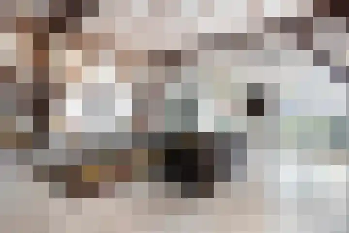 van Helomaweg 4 a Havelte thumbnail 31