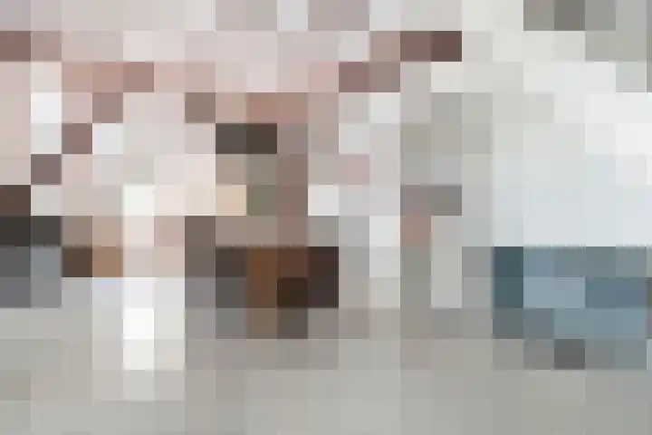 van Helomaweg 4 a Havelte thumbnail 32