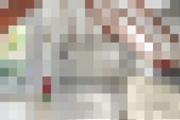 van Helomaweg 4 a Havelte thumbnail 36
