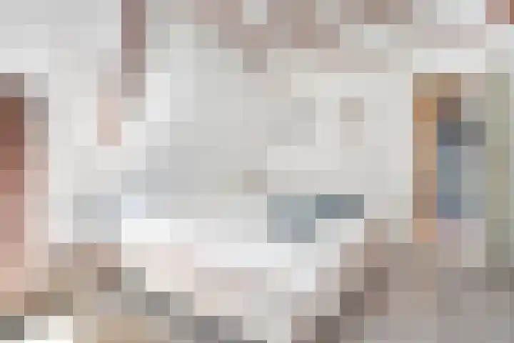 van Helomaweg 4 a Havelte thumbnail 40