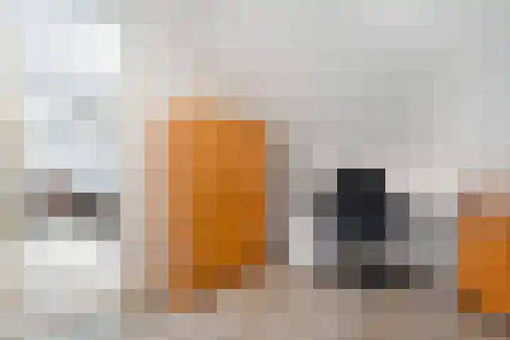 van Helomaweg 4 a Havelte thumbnail 50