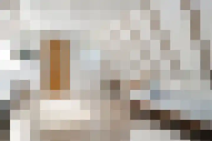 van Helomaweg 4 a Havelte thumbnail 52