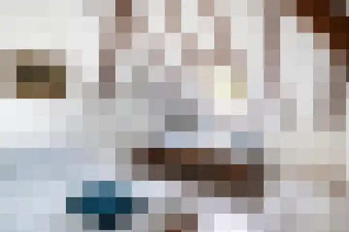 van Helomaweg 4 a Havelte thumbnail 53