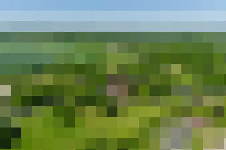 van Helomaweg 4 a Havelte thumbnail 57