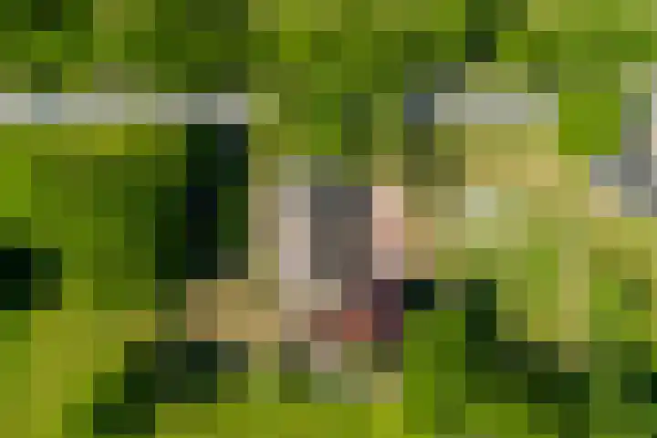 van Helomaweg 4 a Havelte thumbnail 58