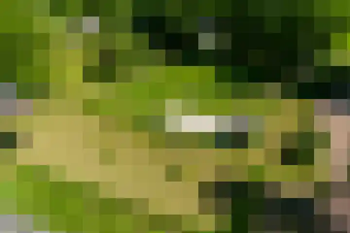 van Helomaweg 4 a Havelte thumbnail 59