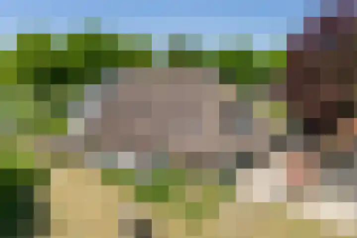 van Helomaweg 4 a Havelte thumbnail 60