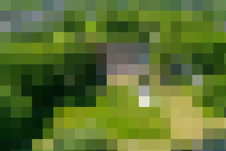 van Helomaweg 4 a Havelte thumbnail 62