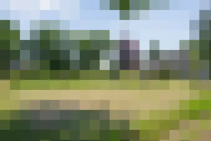 van Helomaweg 4 a Havelte thumbnail 64